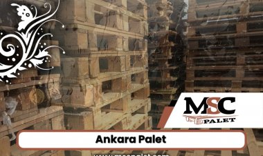 Ankara Palet