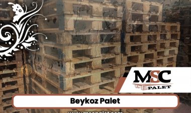 Beykoz Palet