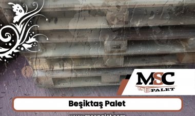Beşiktaş Palet