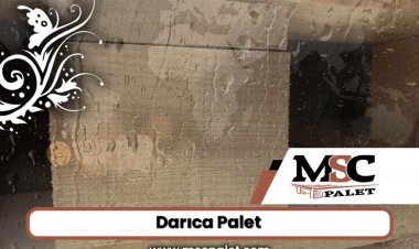 Darıca Palet