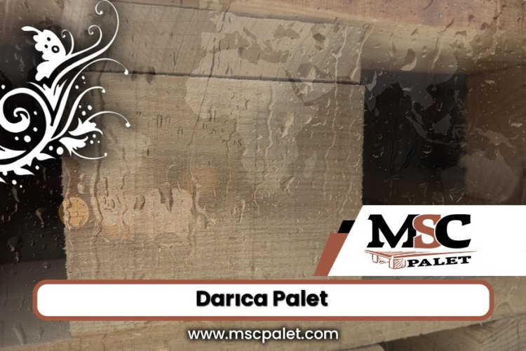 Darıca Palet