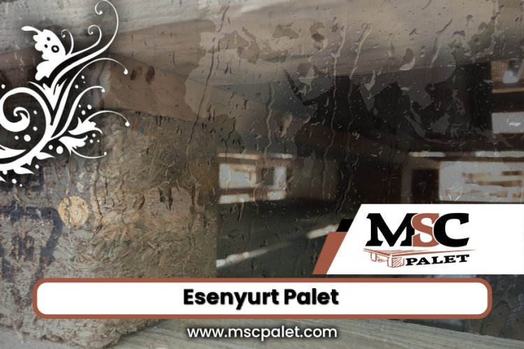 Esenyurt Palet