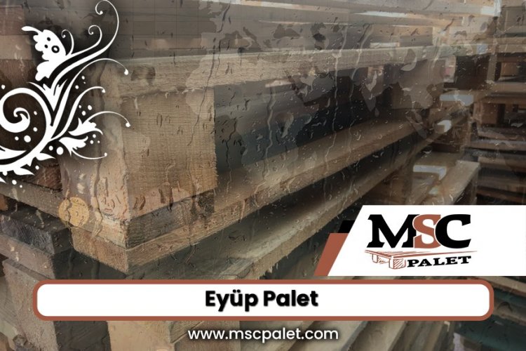 Eyüp Palet